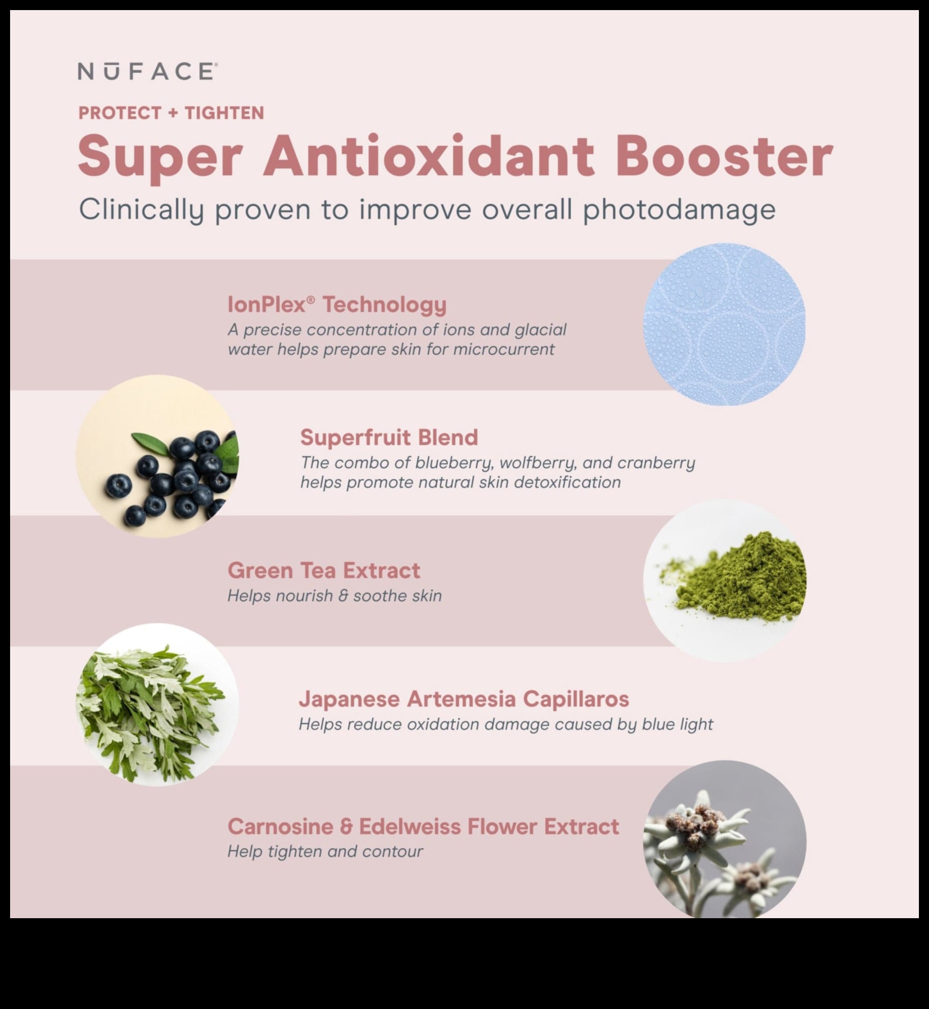 تغذية وحماية: القوة المشعة لمضادات الأكسدة