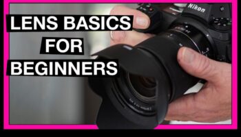 عدسة لوميناري: تقنيات التصوير الفوتوغرافي الاحترافية في البرامج التعليمية