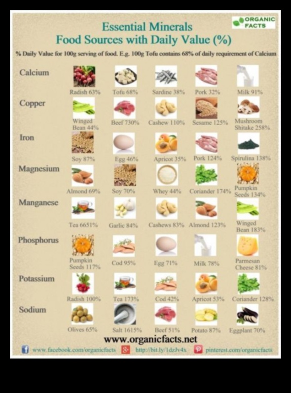 المعادن الأساسية: الغوص العميق في العافية الغذائية