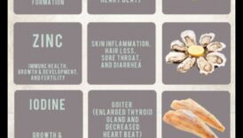 المعادن الأساسية: الغوص العميق في العافية الغذائية