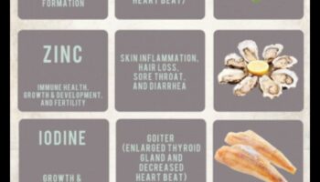 المعادن الأساسية: الغوص العميق في العافية الغذائية