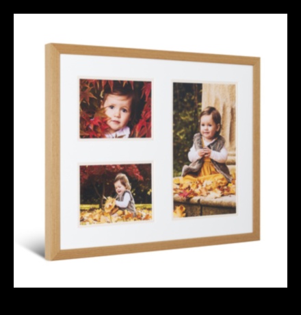 تألق إطار بإطار: إطلاق العنان لتعليم التصوير الفوتوغرافي