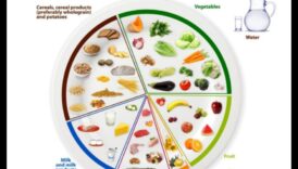 التغذية المضيئة: تسليط الضوء على طريقك إلى الصحة