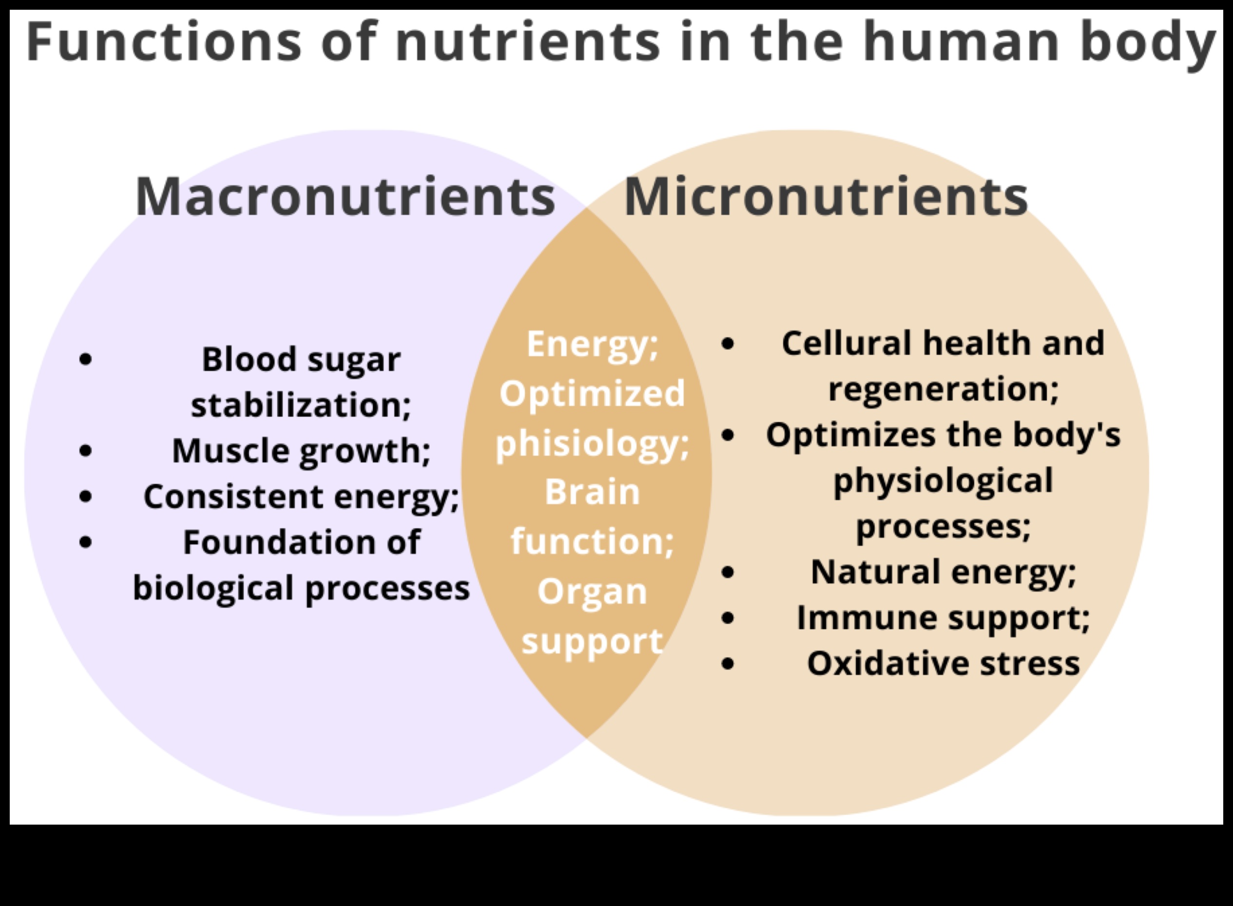 طيف المغذيات: الغوص في العناصر الأساسية