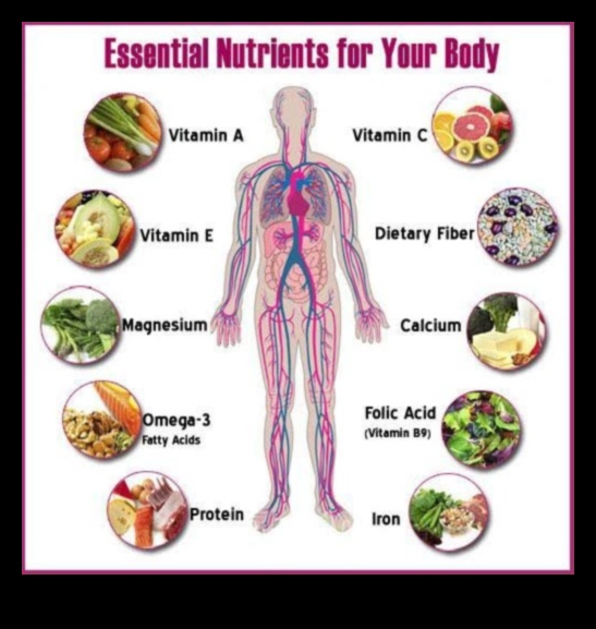 طيف المغذيات: الغوص في العناصر الأساسية