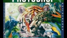 الفن الرقمي: إطلاق العنان للإبداع في أدوبي فوتوشوب