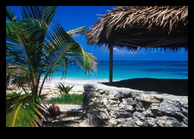 تصوير الجنة: النعيم الاستوائي في التصوير الفوتوغرافي للسفر