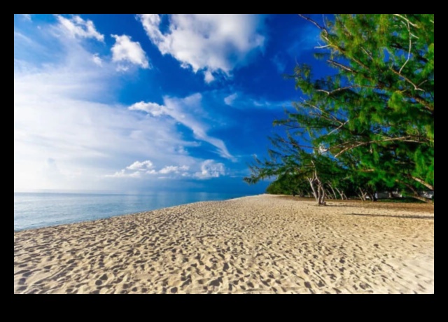 تصوير الجنة: النعيم الاستوائي في التصوير الفوتوغرافي للسفر