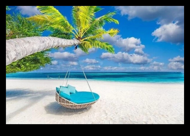 تصوير الجنة: النعيم الاستوائي في التصوير الفوتوغرافي للسفر